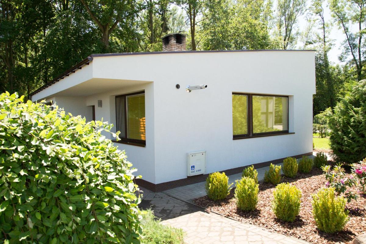 Camping Oaza Blonie Kornik Domki Standard Plus - 3 Pokoje 外观 照片