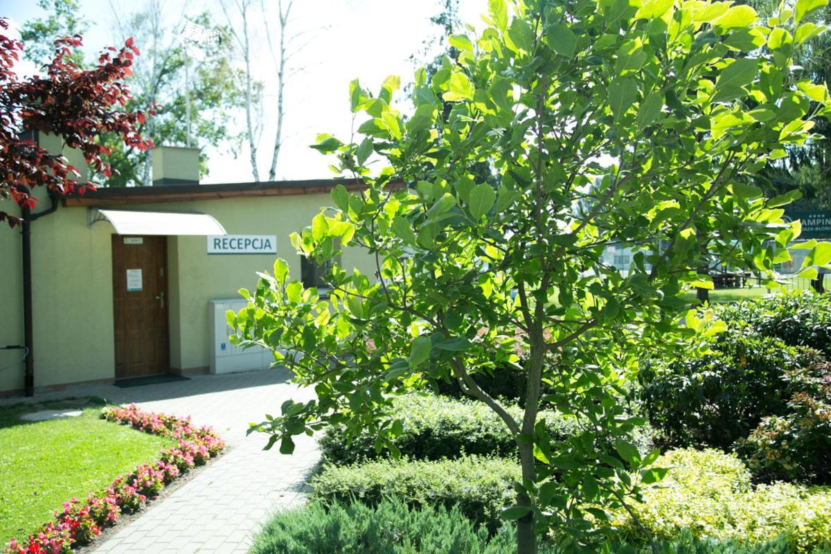 Camping Oaza Blonie Kornik Domki Standard Plus - 3 Pokoje 外观 照片